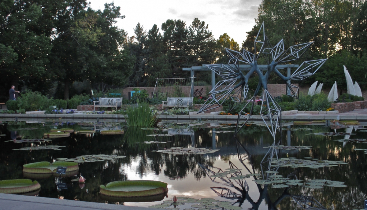 Victoria plant in Monet Pool