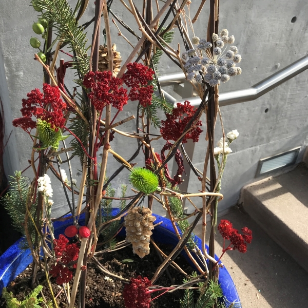 A trellis "tree" adorned with teasel, moon carrot, stonecrop and spruce