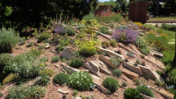 Crevice garden