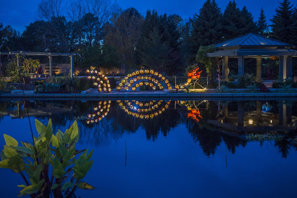 Glow at the Gardens Denver Botanic Gardens
