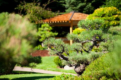 York Street Gardens | Denver Botanic Gardens