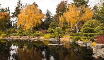 Autumn At Denver Botanic Gardens Denver Botanic Gardens