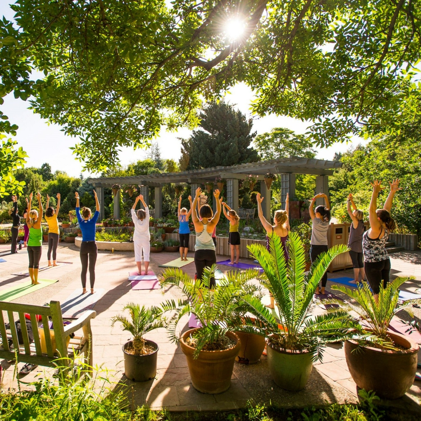 Chi Kung For High-Level Wellness