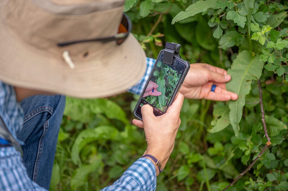 Citizen science