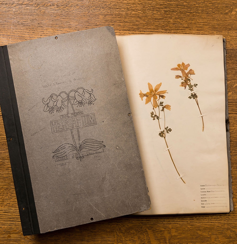 herbarium sheet