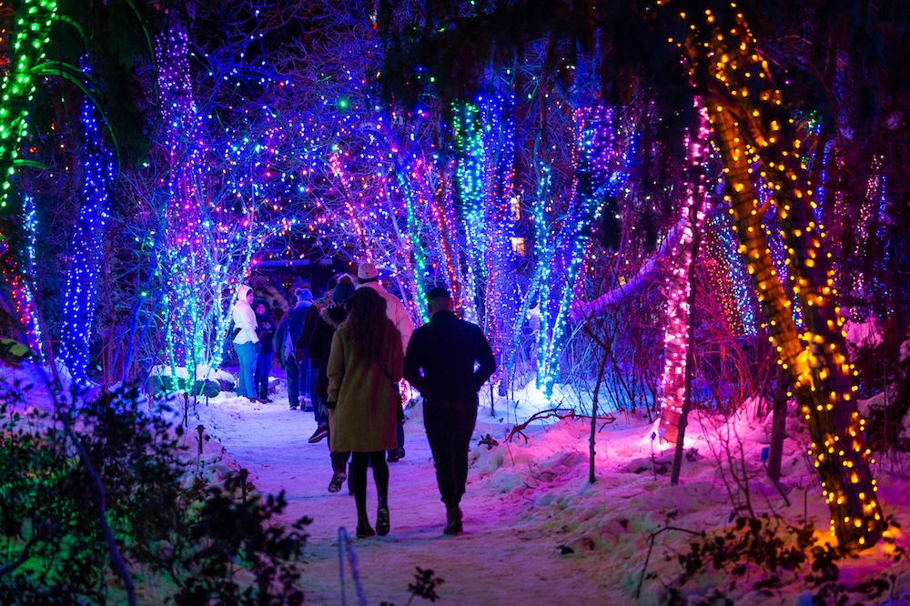 Blossoms of Light Denver Botanic Gardens