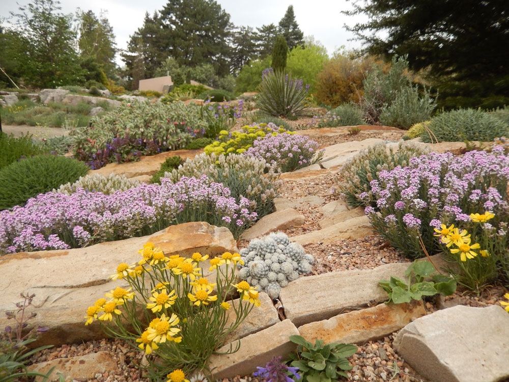 alpine collection gallery 1
