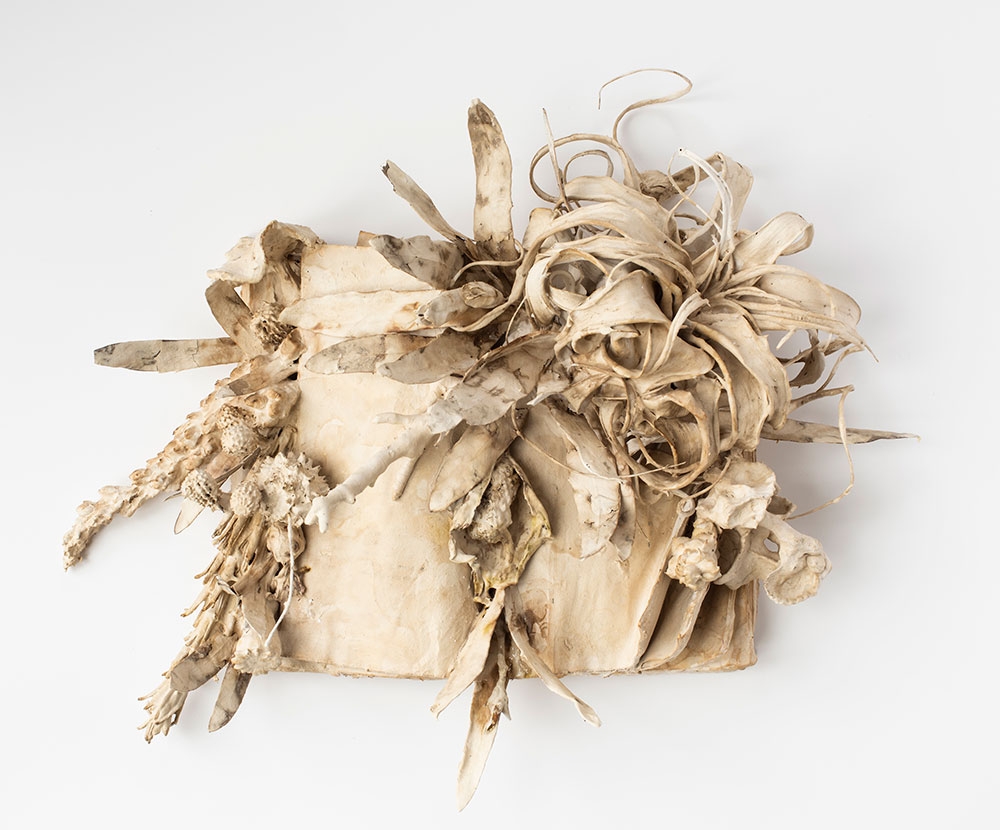 Jody Guralnick, Botany Book 1, field guide, plant material, porcelain, resin, 2018.