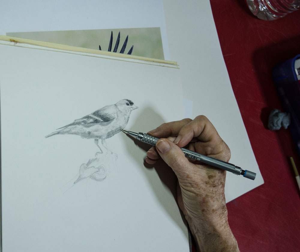 El Charco Gallery