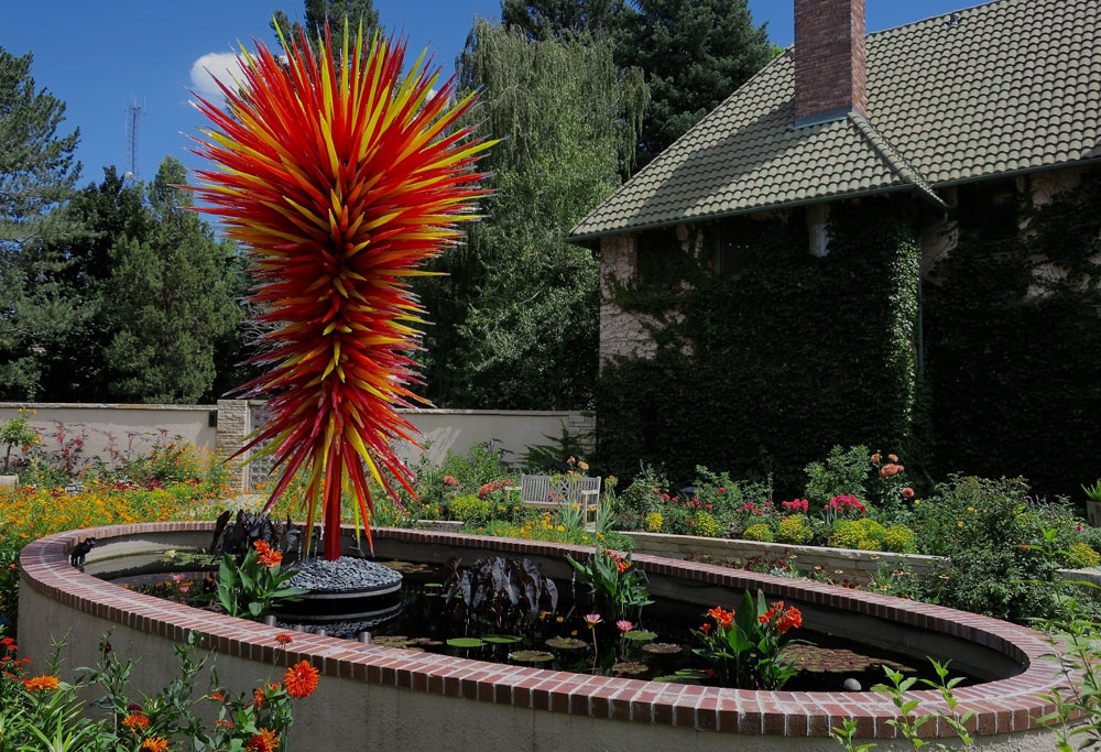 Ellipse Garden Pool