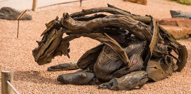 Minimalist horse sculpture using branch and stick pieces