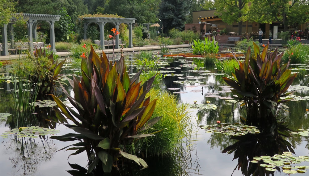 Monet Pool