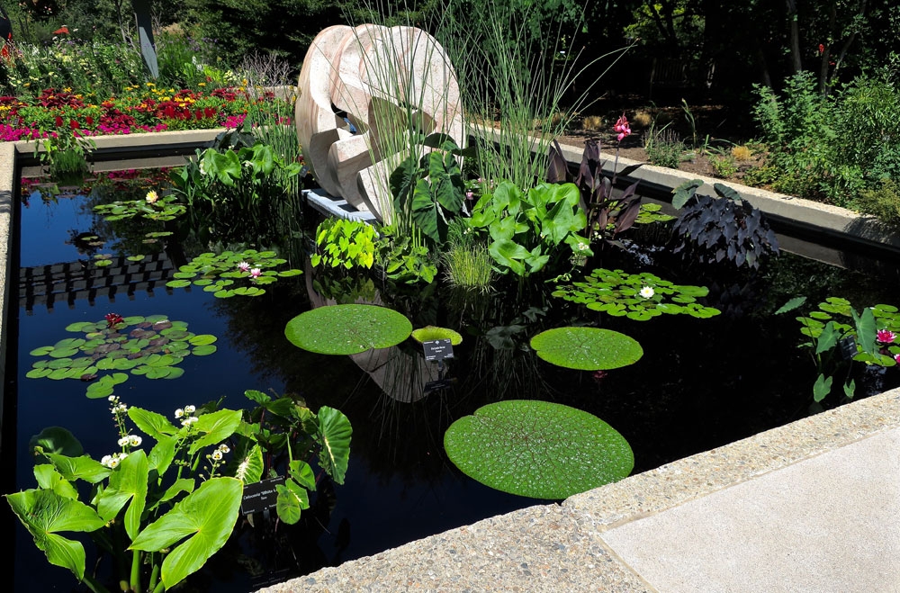 Reflections Pool