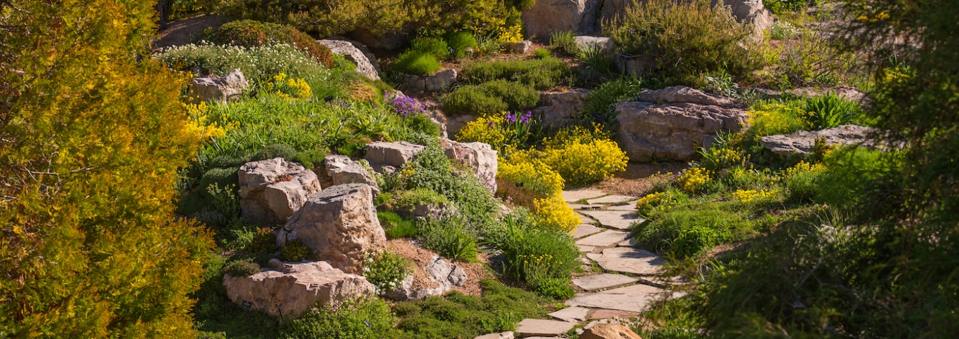 Internationally Inspired Gardens | Denver Botanic Gardens
