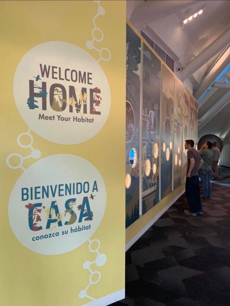 Welcome Home Gallery 2