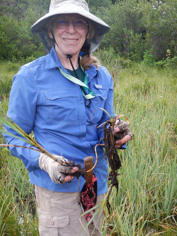 Dr. Jan Wingate