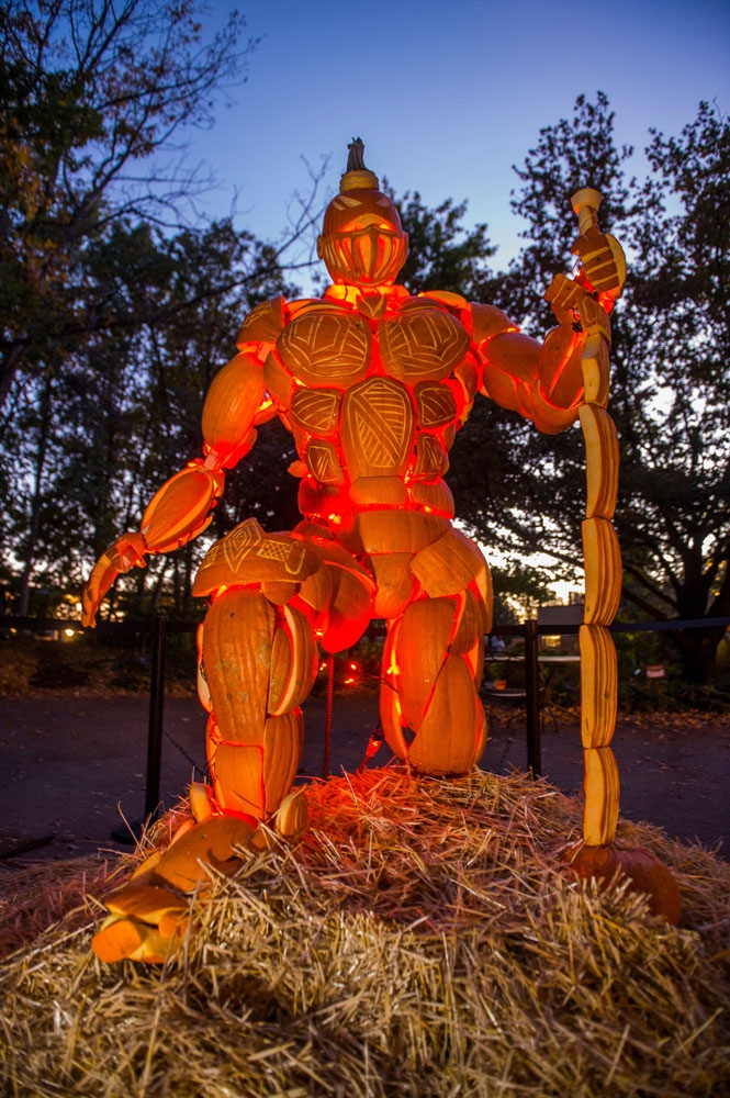 multiple pumpkins carved into a knight