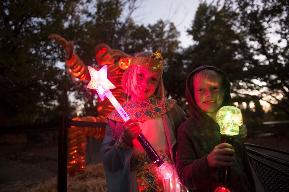 children at glow at the gardens