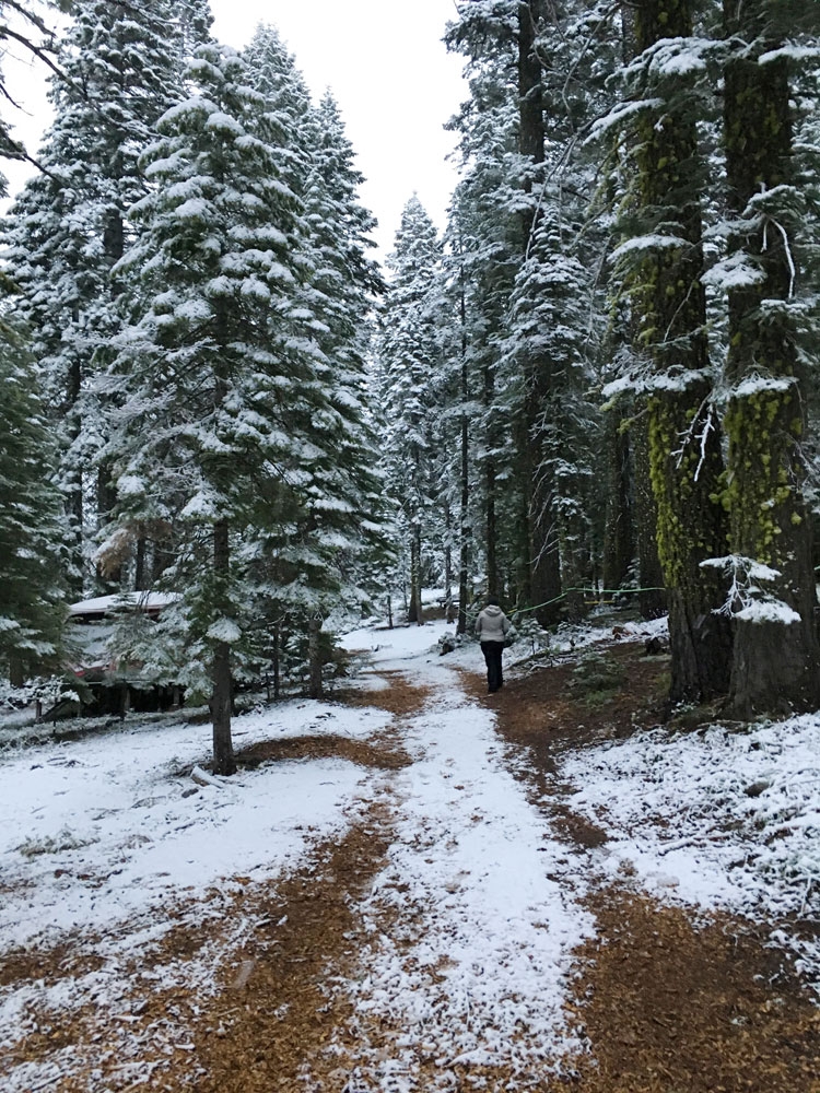 snow in the sierra nevadas