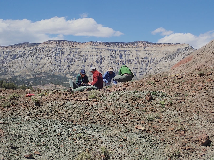 monitoring-colorado-hookless-cactus_gallery.jpg