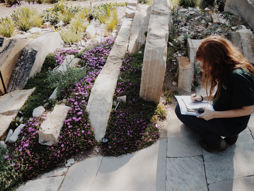 steppe garden