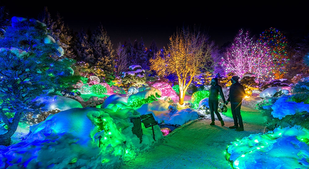 Blossoms of Light Denver Botanic Gardens