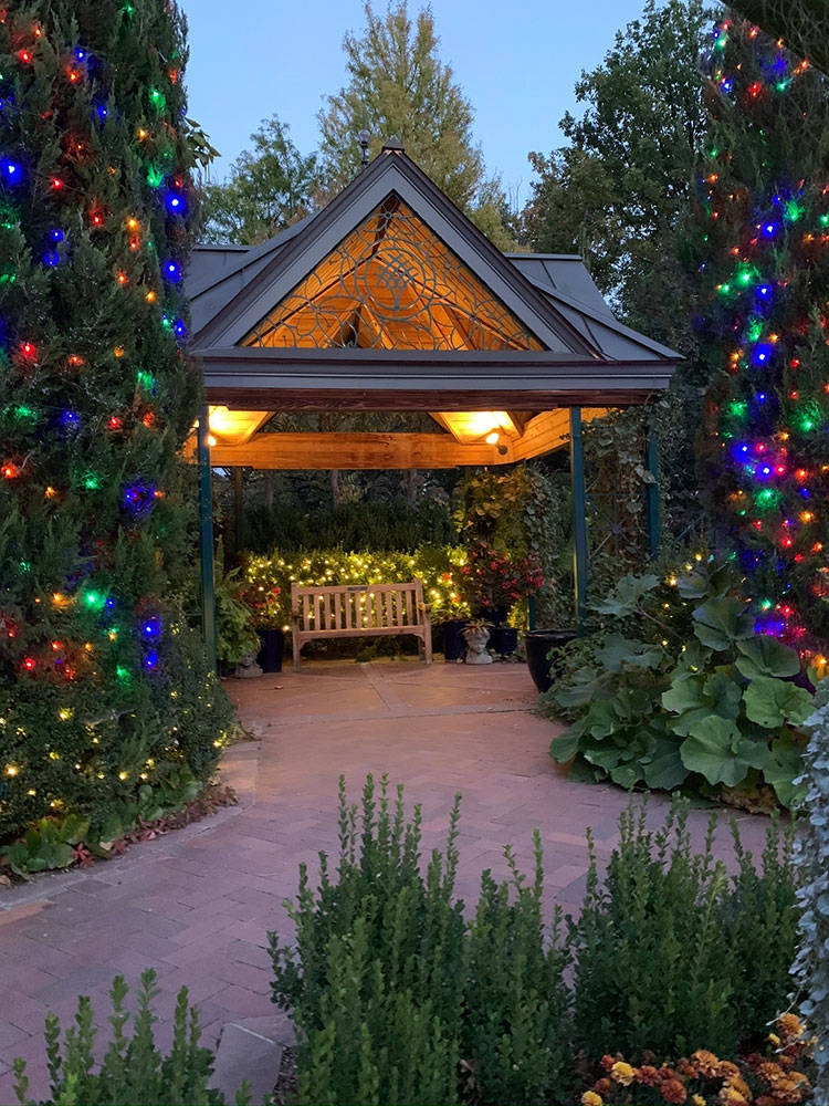 Engagements During Blossoms of Light gallery1