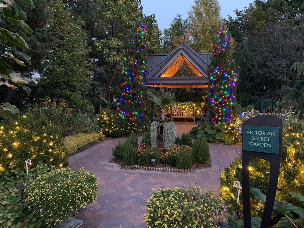 Engagements During Blossoms of Light gallery2