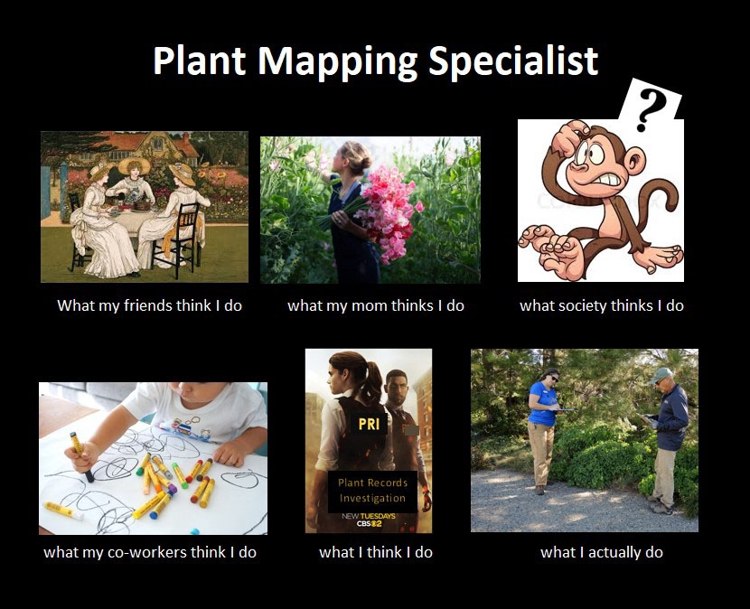 Plant mapping humor