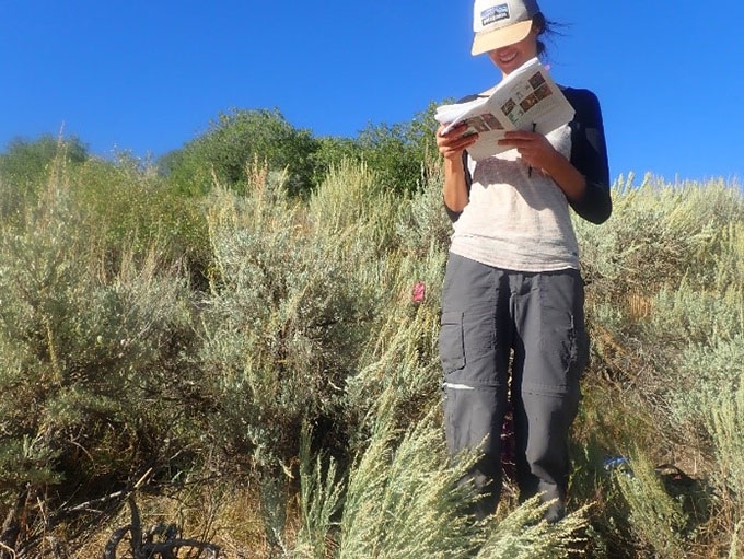 fieldwork