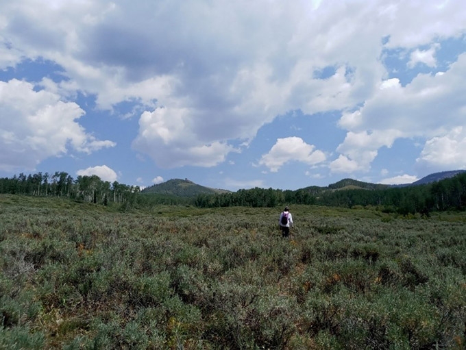 fieldwork