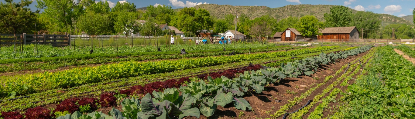 CSA at Denver Botanic Gardens Chatfield Farms