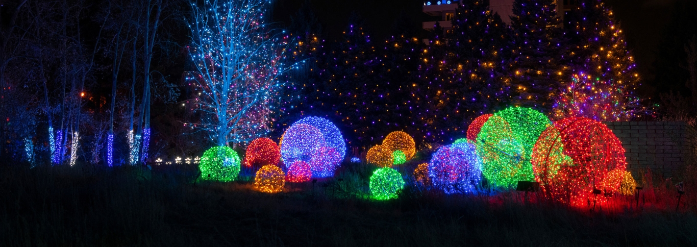 Botanical Gardens Christmas Party 2022 Blossoms Of Light | Denver Botanic Gardens
