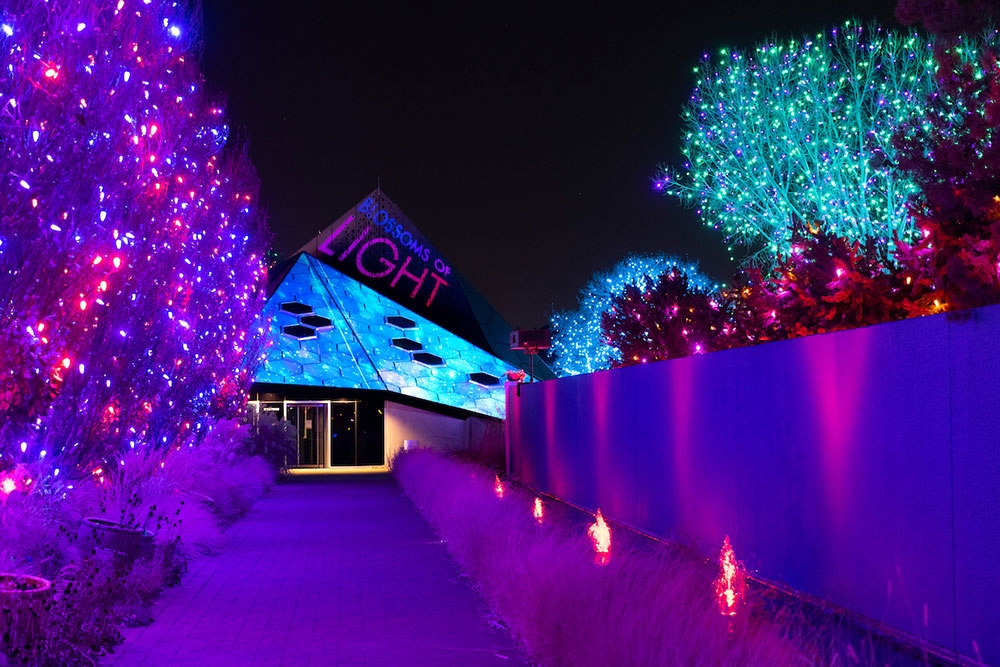 Blossoms of Light Denver Botanic Gardens