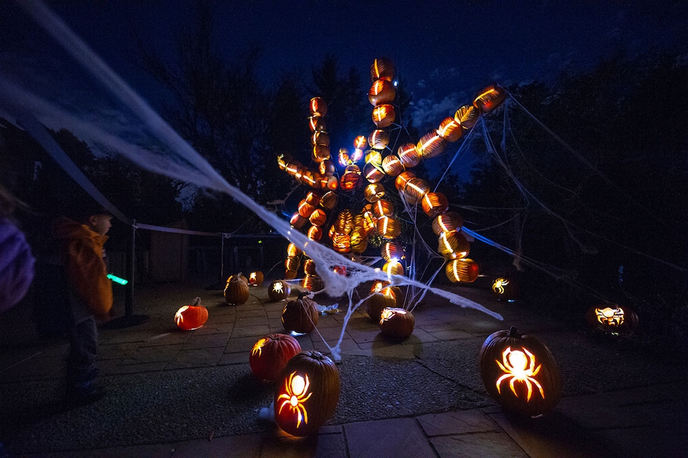 Glow At The Gardens 2025 Tickets Price