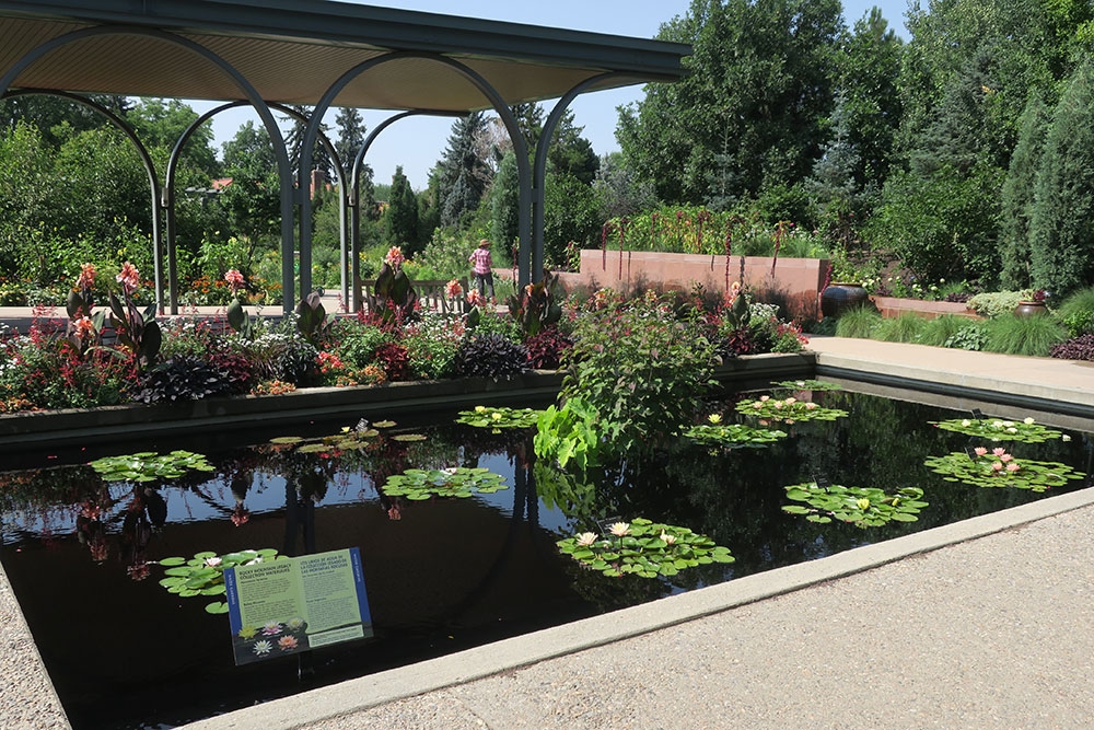 Annuals Garden Pond with Rocky Mountain Legacy Collection Annuals Garden Pond with Rocky Mountain Legacy Collection