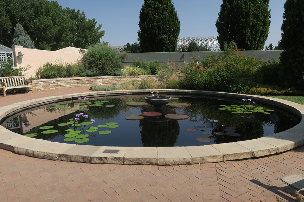 Romantic Gardens Pool with Star Waterlilies Romantic Gardens Pool with Star Waterlilies