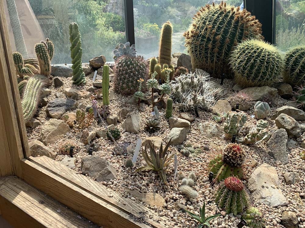 new display