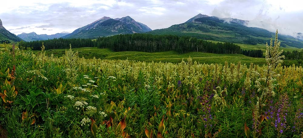 Crested Butte