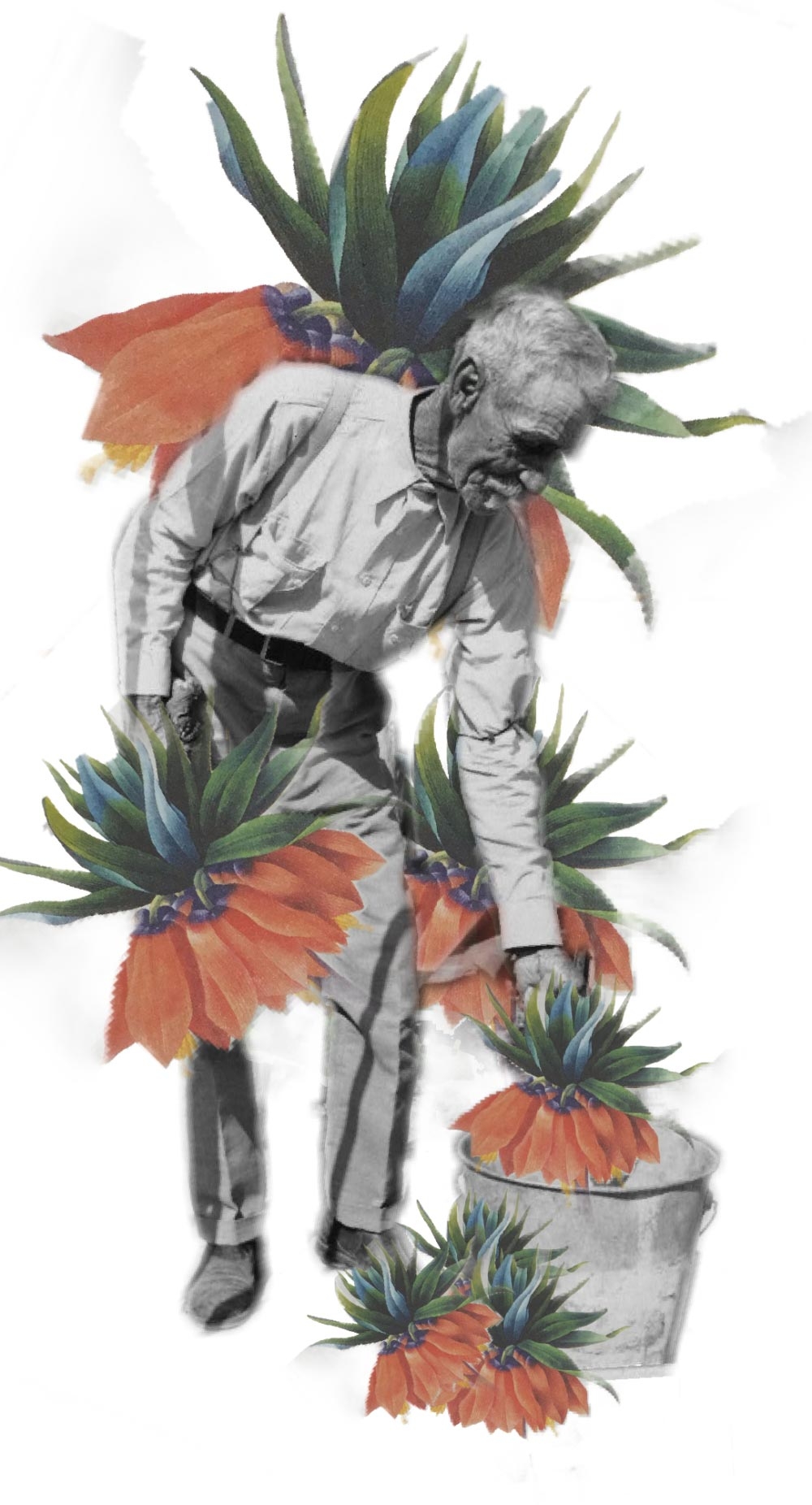 Tya Alisa Anthony, “Seven of Pentacles,” digital collage, 2020. Tya Alisa Anthony, “Seven of Pentacles,” digital collage, 2020.