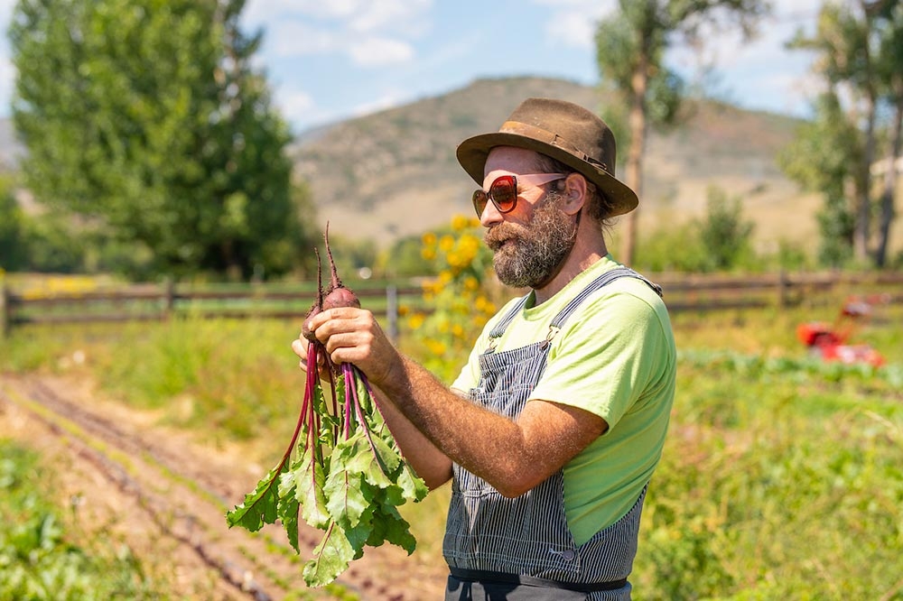 Chatfield Farms Chatfield Farms