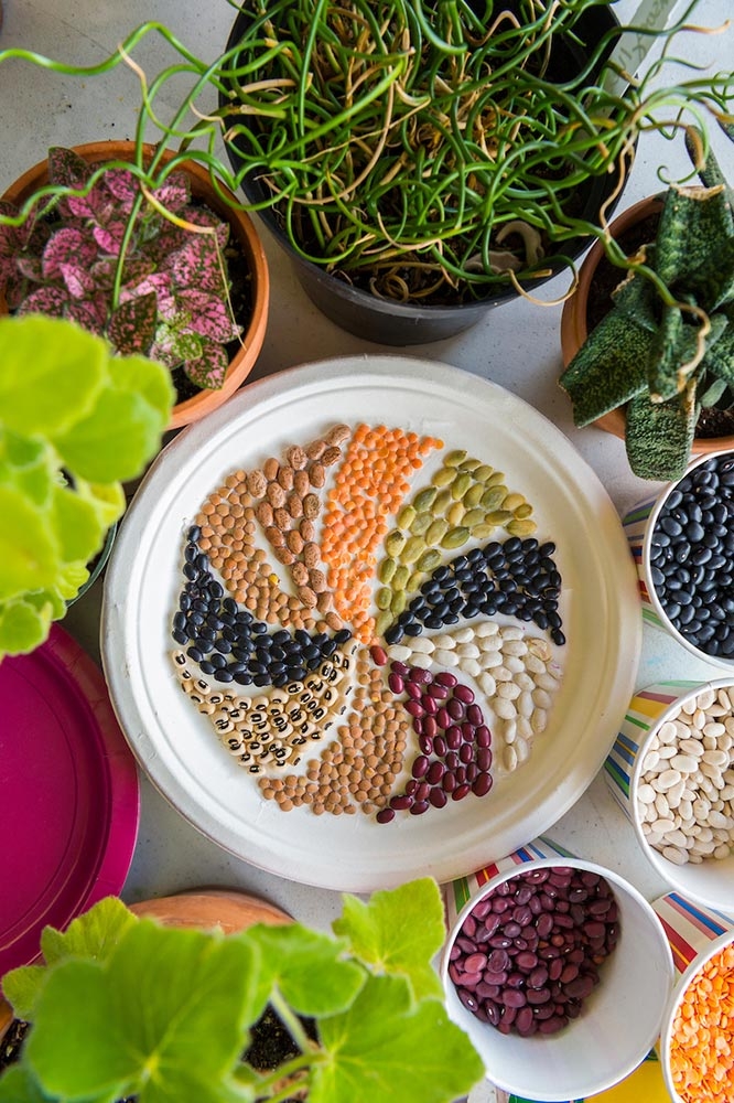 Therapeutic horticulture