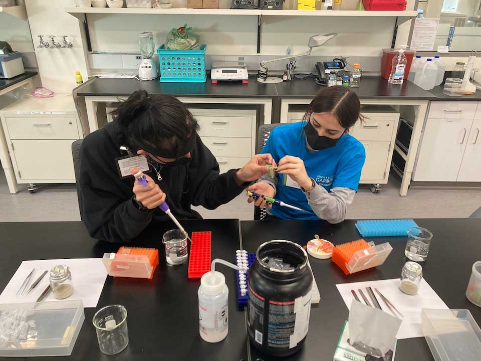 Pipette-Practice