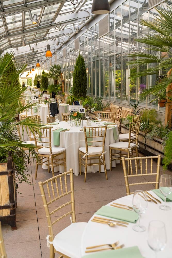 Orchid Sponsorship: Orangery Orchid Sponsorship: Orangery