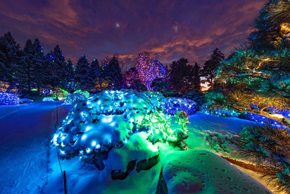 Blossoms of Light Denver Botanic Gardens