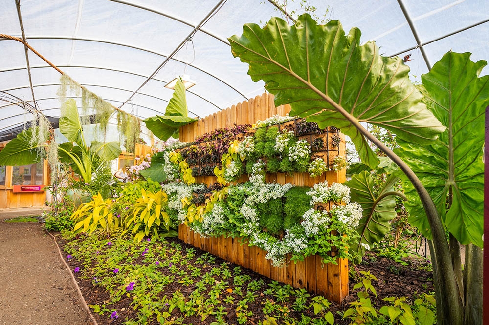 butterfly house