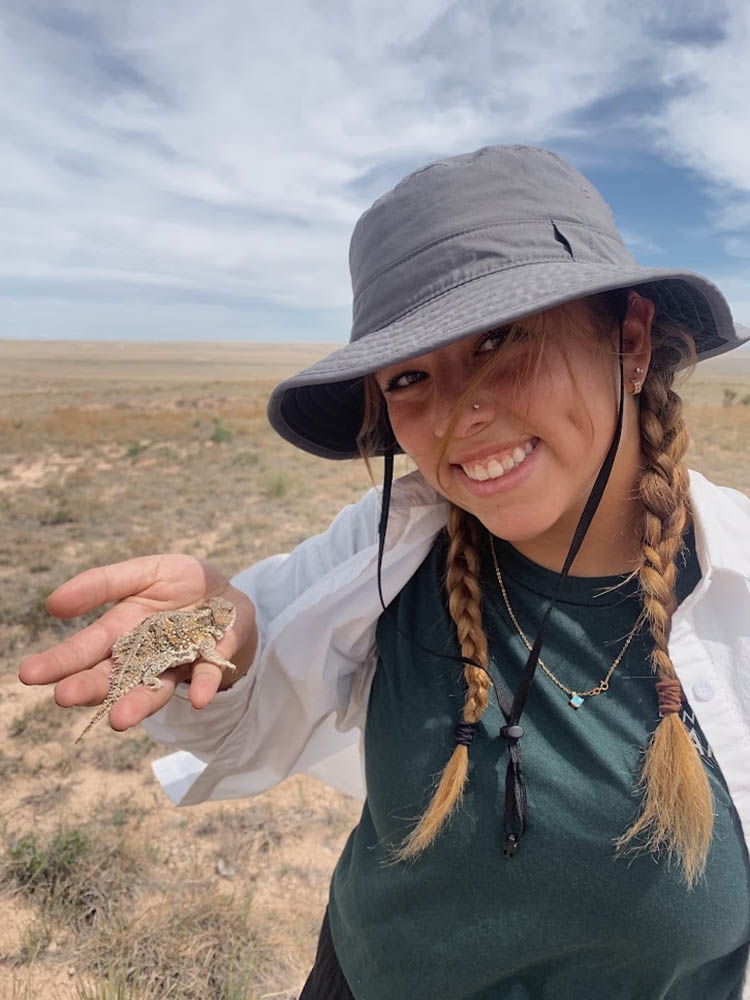 Holding horny toad