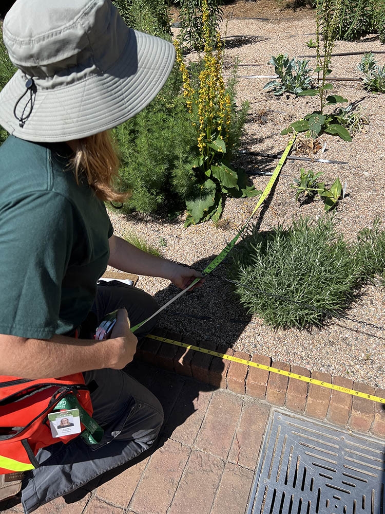 recording plant location