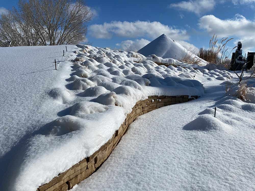 Snow drifts make tufts of Mexican feathergrass (Nassella tenuissima) in the Ornamental Grasses Garden look like groomed bumps on a ski slope, one of the many soothing patterns you’ll see in winter. Snow drifts make tufts of Mexican feathergrass (Nassella tenuissima) in the Ornamental Grasses Garden look like groomed bumps on a ski slope, one of the many soothing patterns you’ll see in winter.