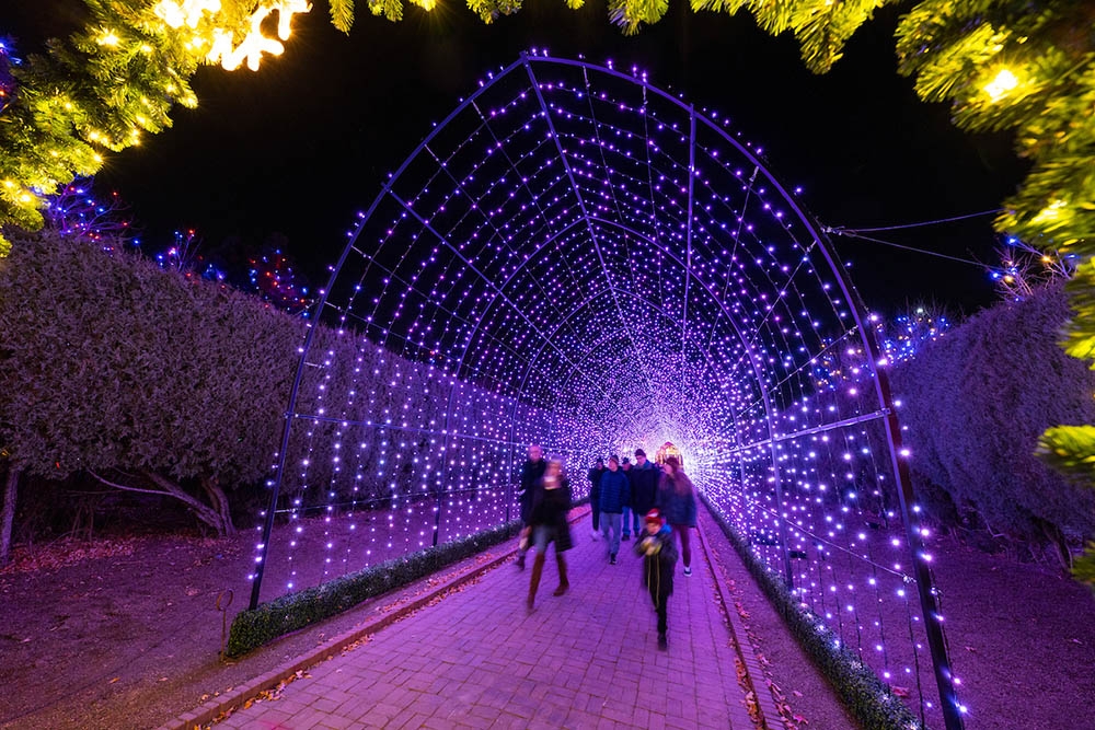 Tunnel